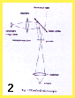 p126f1.GIF (3807 bytes)