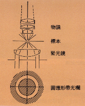 L02.GIF (27206 bytes)