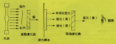 L05.GIF (40144 bytes)