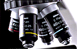 Crystal clear image, thanks to CFI60 optics
