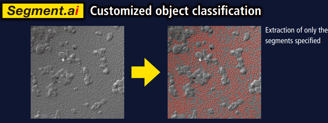 2020-01-19_22-56-34-985.png
