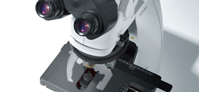 正立顯微鏡
