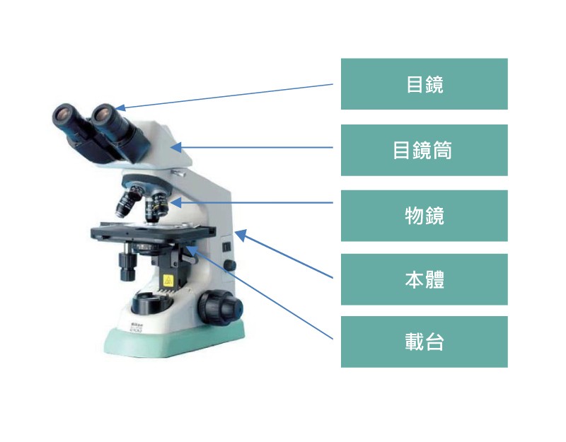 顯微鏡_目鏡筒.jpg - NIKON 顯微鏡 應使用的消毒程序
