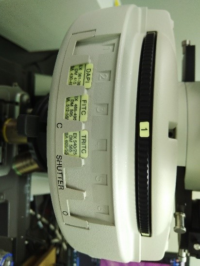 2.jpg - 顯微鏡的螢光系統 濾片基本規格判讀