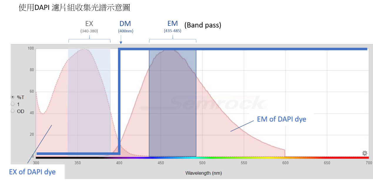4.png - 顯微鏡的螢光系統 濾片基本規格判讀
