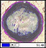 藍.jpg - 【應用分享】使用NIKON NIS-Elements 量測分析軟體，進行複雜的IMC(共金)分析也可以很簡單