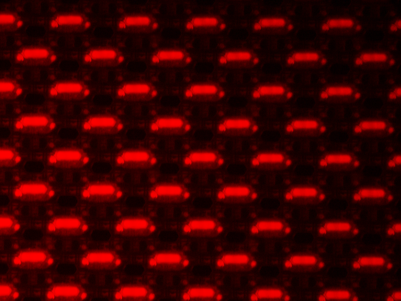 01.png - OLED (有機發光二極體)面板於螢光顯微鏡之應用(下篇)