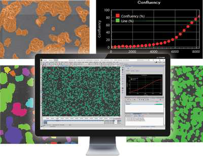 Cell Analysis module.png - 幹細胞培養 - 自己的命自己救