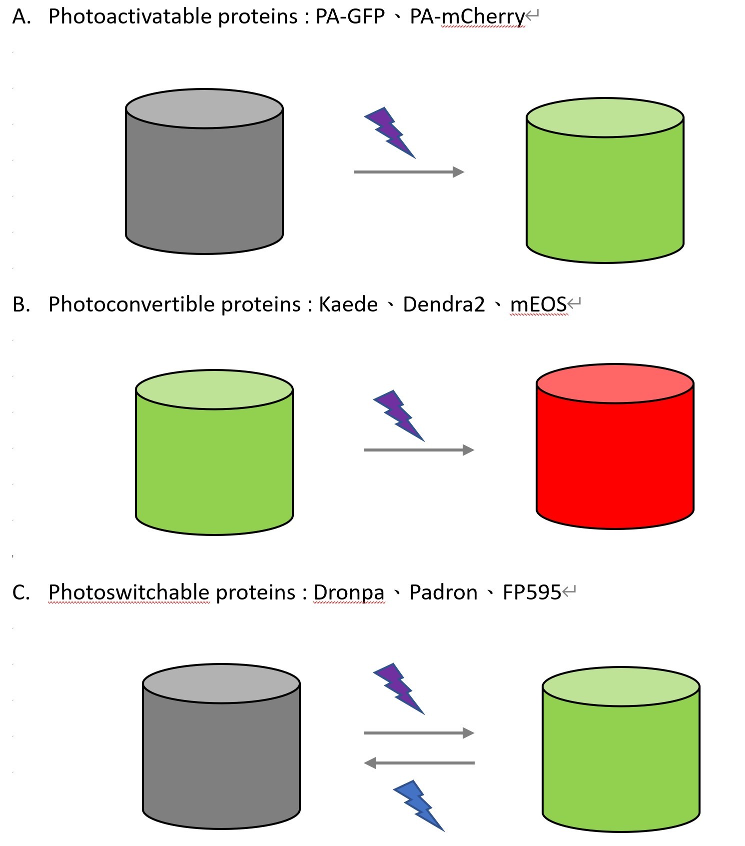 2.jpg - 【生命科學儀器】光活化應用 Photoactivation