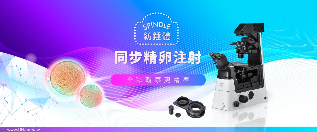 Spindle 紡錘體同步精卵注射