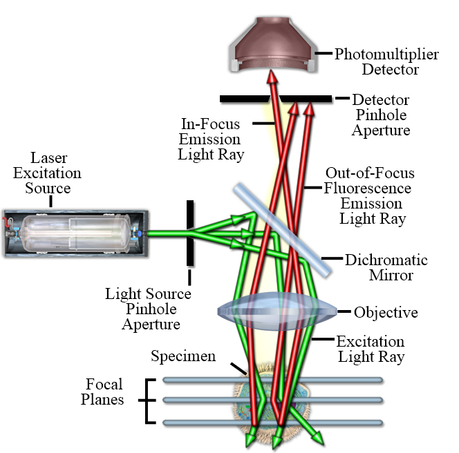【工業精密檢測設備】顯微鏡基礎知識 - 共軛焦顯微鏡