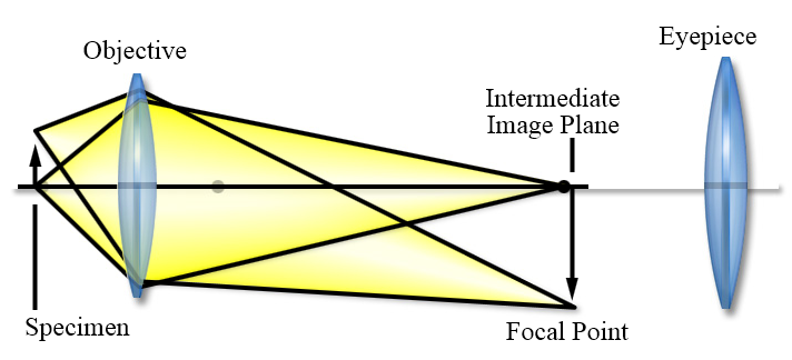 Nikon CFI60 光學系統簡介