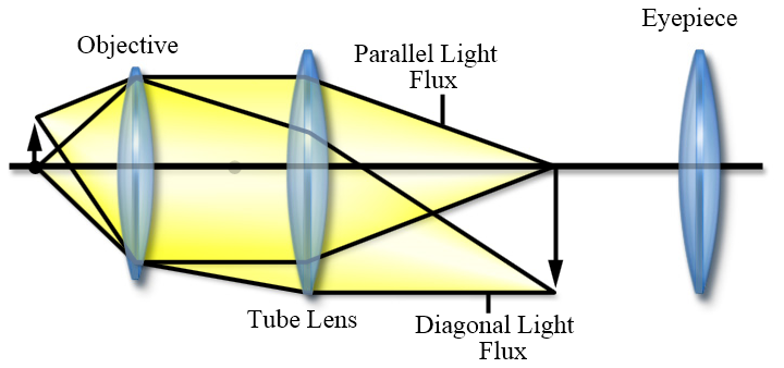 Nikon CFI60 光學系統簡介