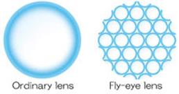 Ordinary lens / Fly-eye lens - Nikon ECLIPSE LV100N POL 研究級偏光顯微鏡