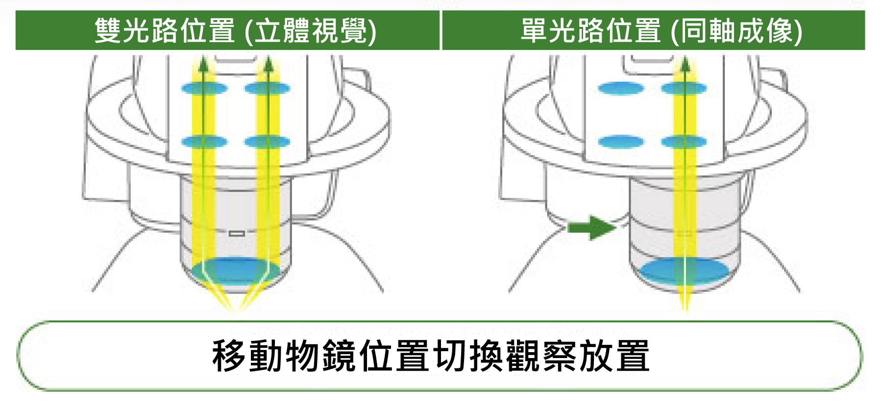 http://www.nikon-instruments.com.cn/userfiles/Image/SMZ-on-axis%20copy.jpg - Nikon SMZ18 研究級立體顯微鏡