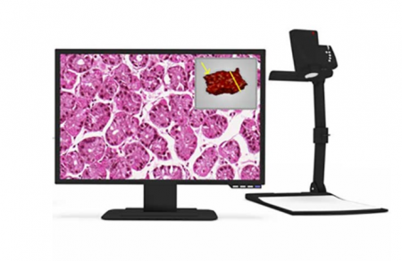 Gross 檢體影像工作站（Macro Station) - 【數位病理臨床整體解決方案】