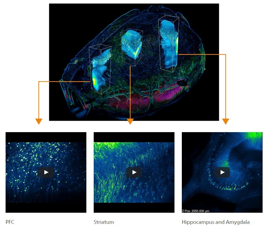 Nikon CFI Plan Apochromat 10XC Glyc甘油鏡 02.jpg - Plan Apochromat 10X Glyc 甘油鏡