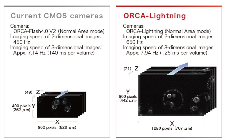 s_c14120-20p_pf3_en.jpg - ORCA - Lightning