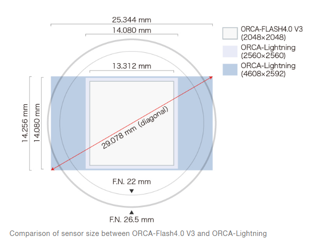 2.png - ORCA - Lightning