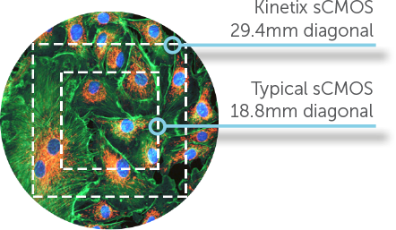 5.png - Kinetix 高速 sCMOS 相機