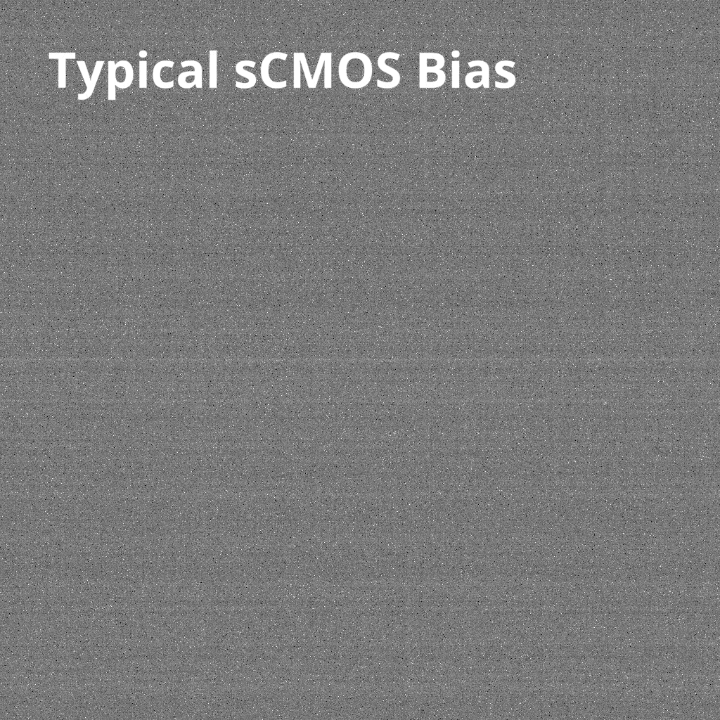 82_CMOS_bias_labeled_2.gif - Kinetix 高速 sCMOS 相機