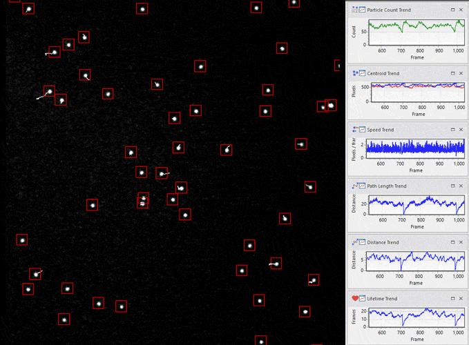 modal5-particletracking-with-graphs-animated.gif - Prime 95B 背照式 sCMOS 相機