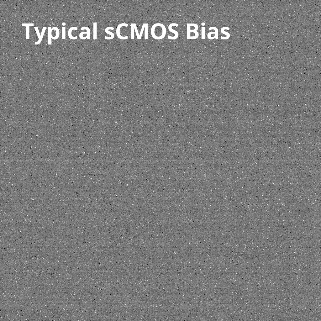 4.jpg - Iris 15 sCMOS 科研相機