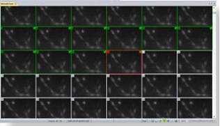 Media Cybernetics Image - Pro Premier 影像分析軟體