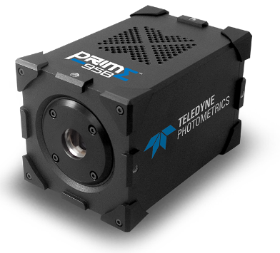 Prime 95B 背照式 sCMOS 相機