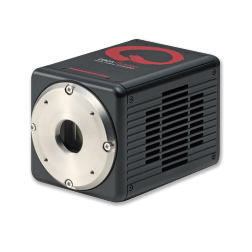 ORCA - Fusion - 【Hamamatsu 相機】