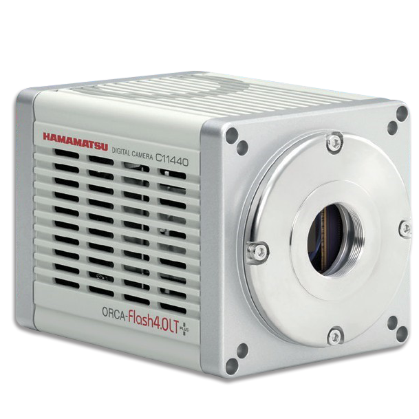 ORCA - Flash4.0 LT+ - 【Hamamatsu 相機】