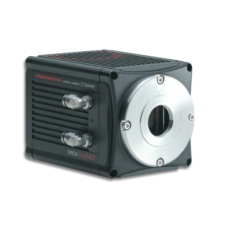 ORCA - Flash4.0 V3 - 【Hamamatsu 相機】