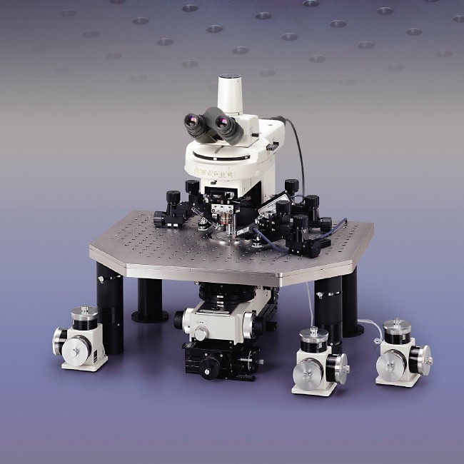 Nikon ECLIPSE FN1 電生理正立顯微鏡