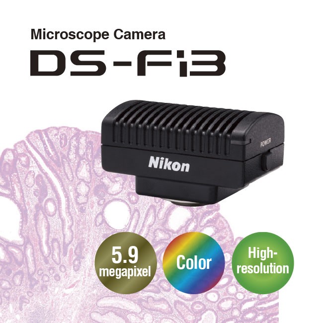 Nikon DS - Fi3 高畫素彩色相機