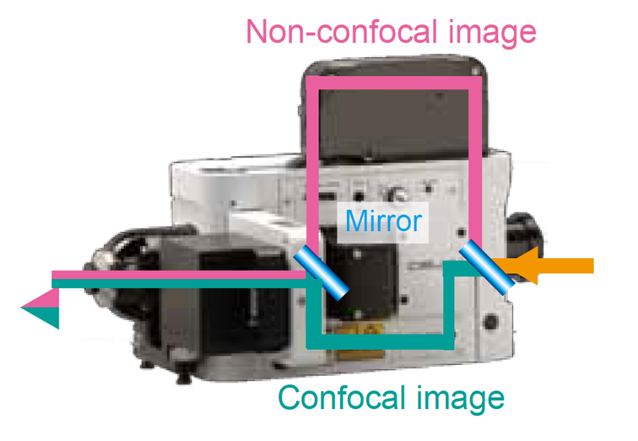 Yokogawa CSU - X1 Spinning Disk Confocal 轉盤式共軛焦掃描器