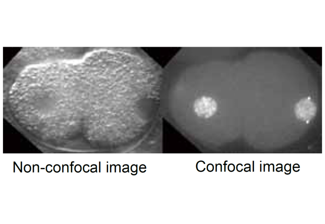 Yokogawa CSU - X1 Spinning Disk Confocal 轉盤式共軛焦掃描器