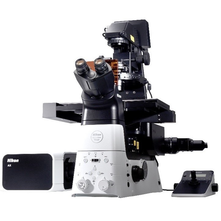 Nikon AX / AX R 單光子雷射共軛焦顯微鏡