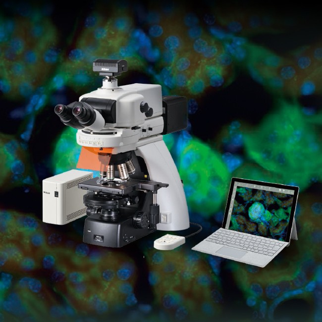 Nikon ECLIPSE Ni 研究級正立顯微鏡系列