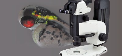 Nikon SMZ18 研究級立體顯微鏡 - 【立體顯微鏡】