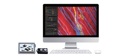 IVM-CMS3 單光子與雙光子雷射（920nm）掃描活體影像系統 - 【Intravital活體動物用雷射掃描影像系統】