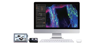 IVM-CM3 單光子與雙光子雷射掃描活體影像系統 - 【Intravital活體動物用雷射掃描影像系統】