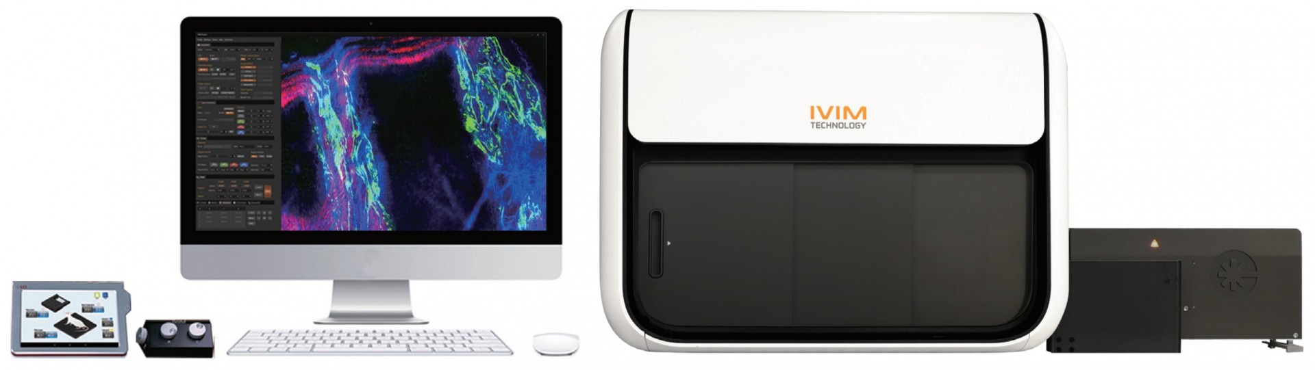 IVM-CM3 單光子與雙光子雷射掃描活體影像系統
