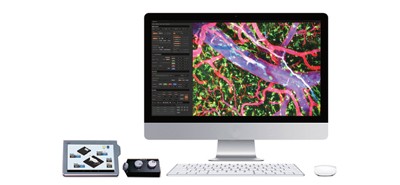 IVM-MS3 雙光子雷射（920nm）掃描活體影像系統 - 【Intravital活體動物用雷射掃描影像系統】