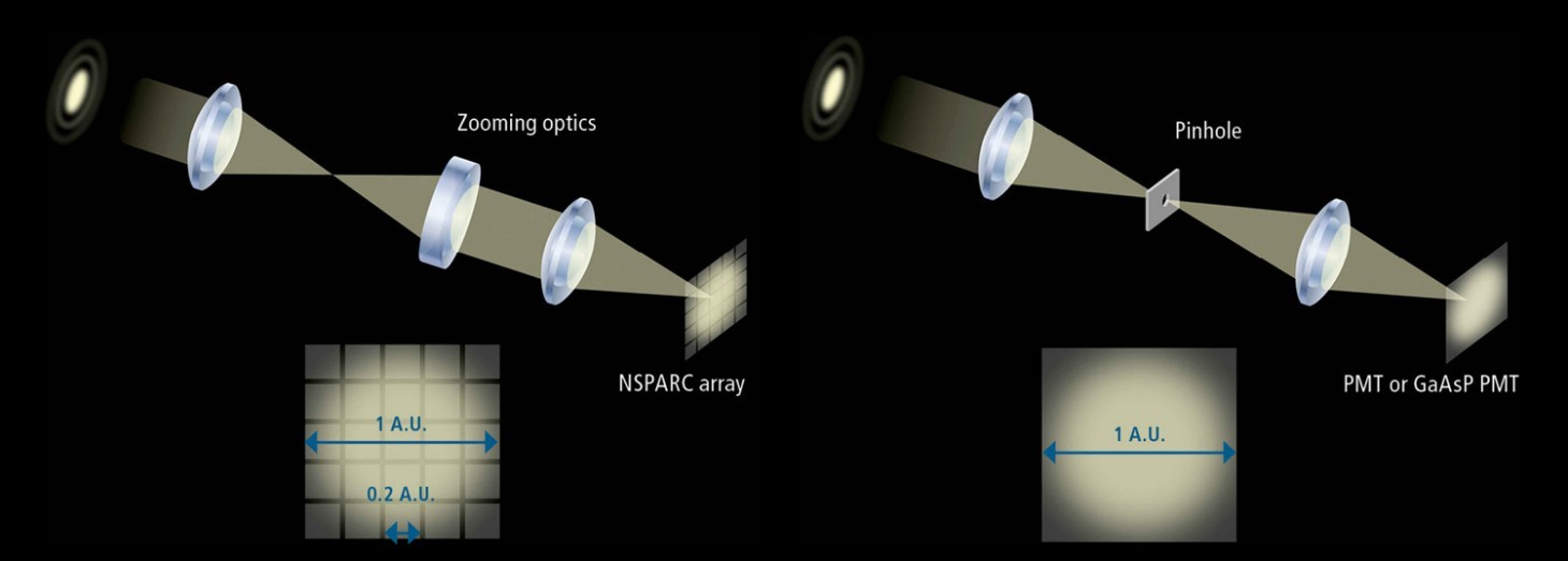 Nikon AX/AX R with NSPARC（Nikon SPatial ARray Confocal）