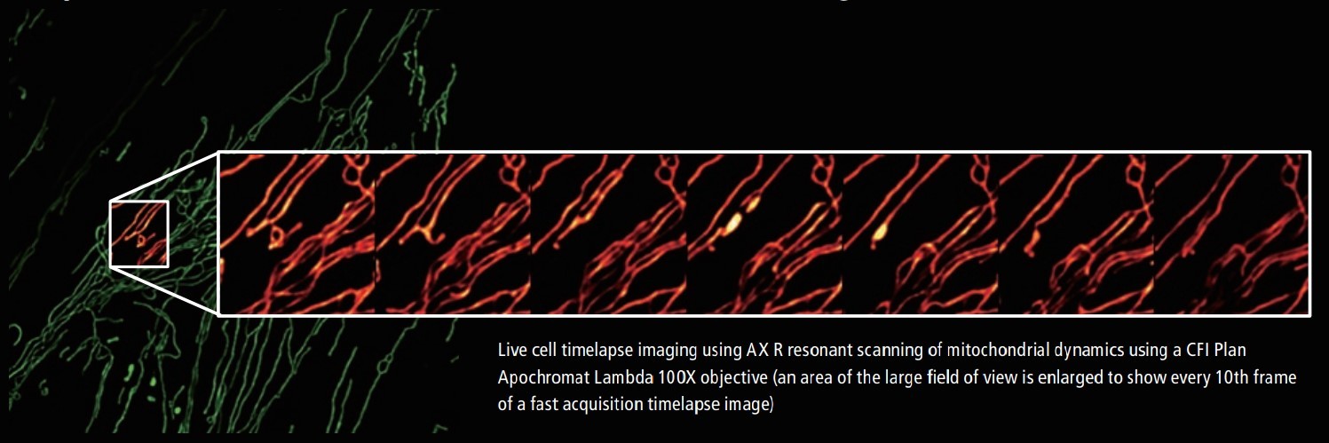 Nikon AX/AX R with NSPARC（Nikon SPatial ARray Confocal）