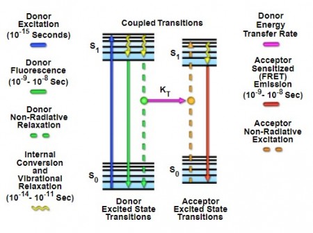 共振能量轉移原理